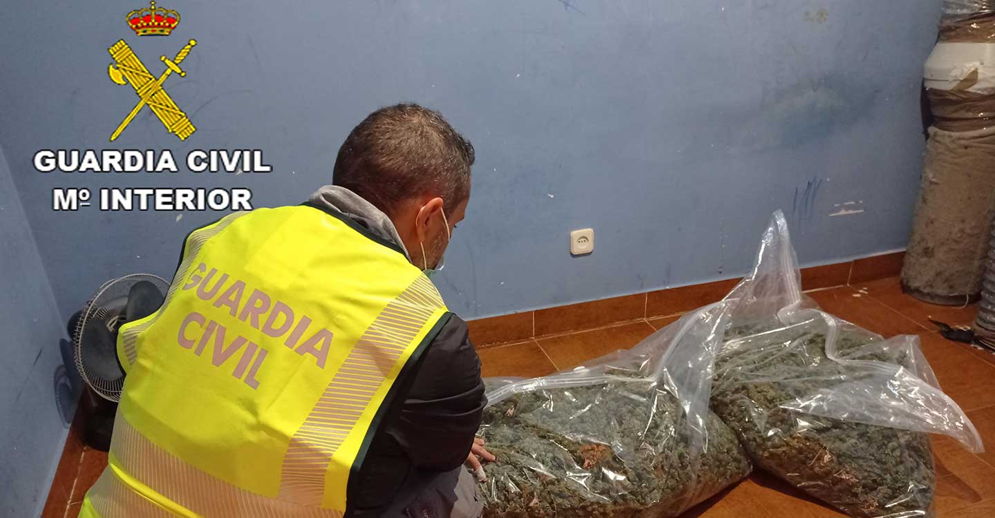 La Guardia Civil de Guadalajara detiene a 14 personas relacionadas con delitos de robo con violencia e intimidación, tenencia ilícita de armas y cultivo de marihuana