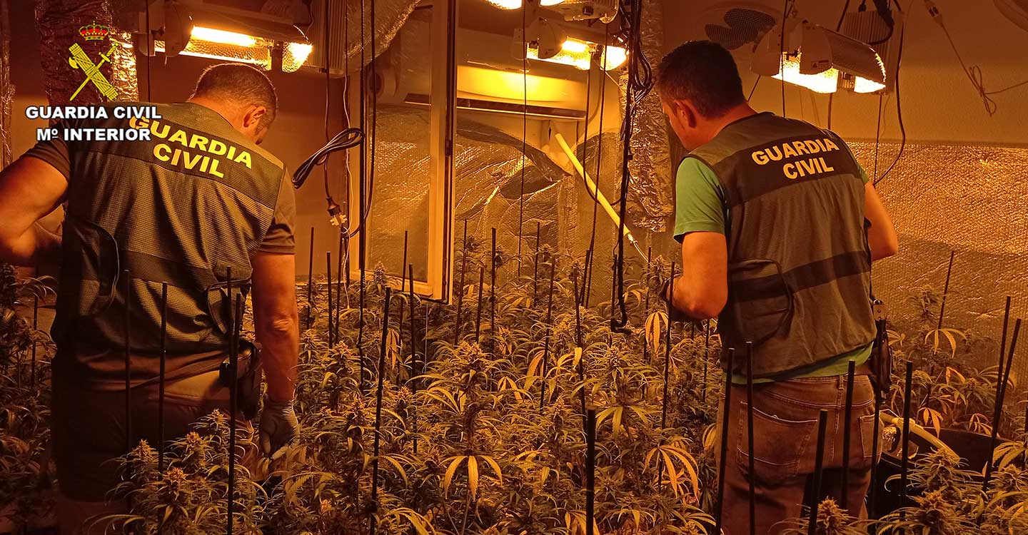 La Guardia Civil desmantela dos plantaciones de marihuana “indoor” en El Casar y en Cabanillas del Campo