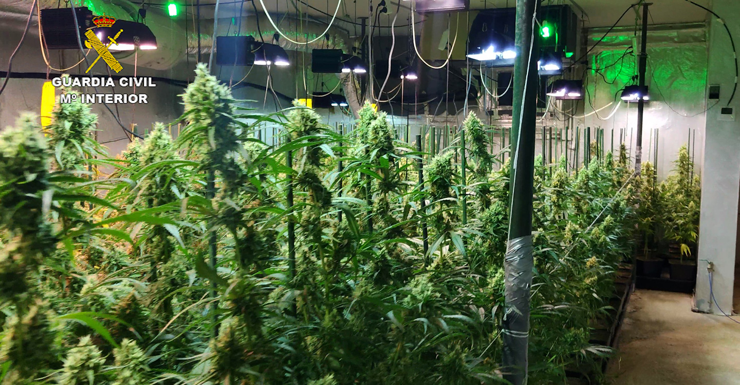 La Guardia Civil desmantela dos plantaciones de marihuana “indoor” en El Casar