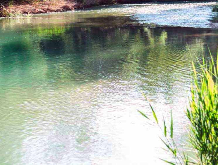 Rescatan el cadáver de una persona en el río Tajo en Trillo