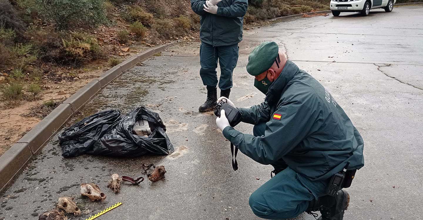 El SEPRONA investiga un “cementerio ilegal” de animales domésticos en El Casar