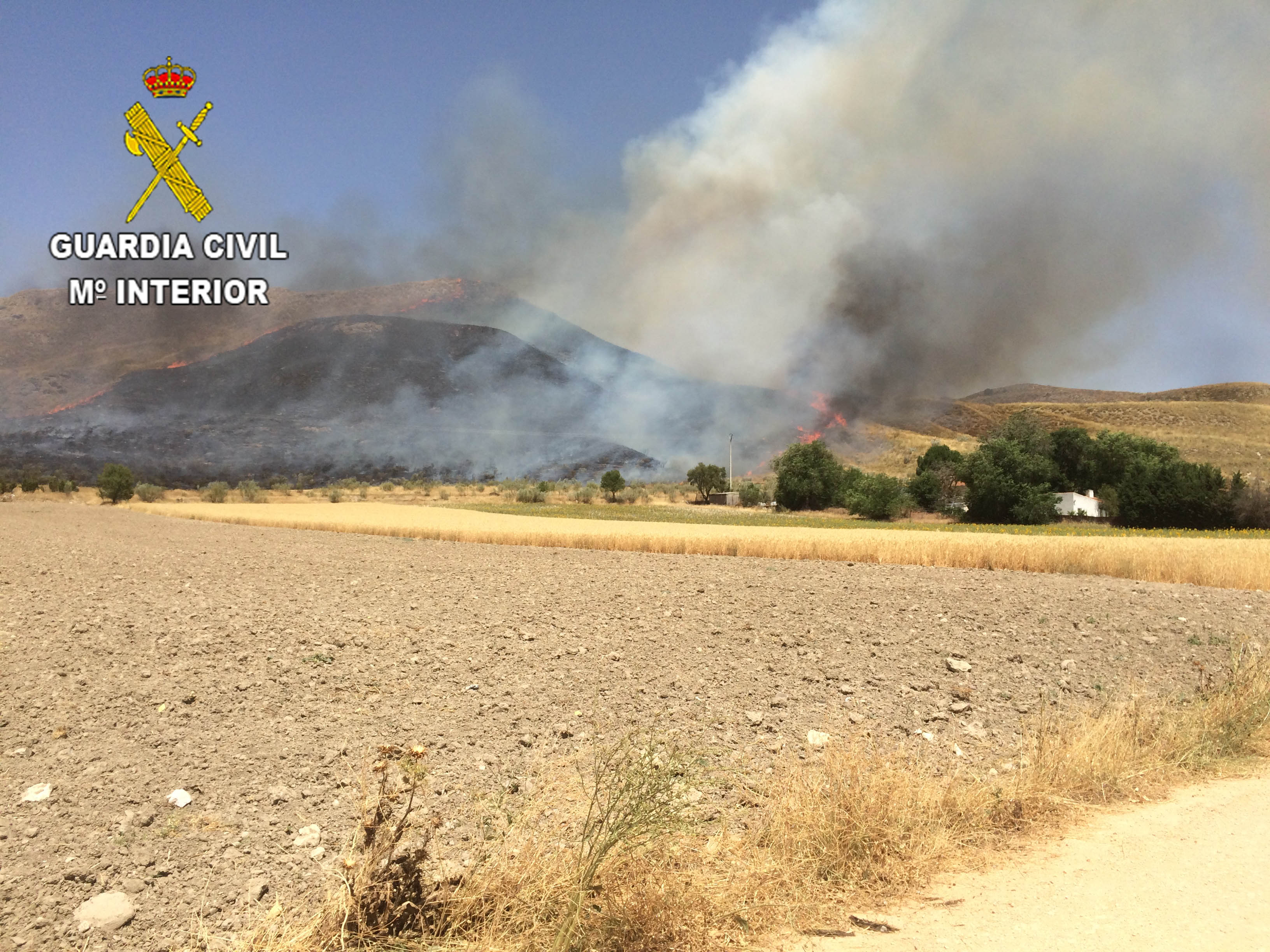 El SEPRONA investiga a una persona como supuesto autor del incendio forestal de Driebes