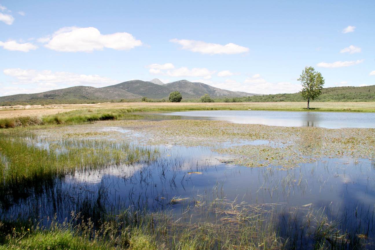 La Sierra Norte de Guadalajara gana población por primera vez desde 2010