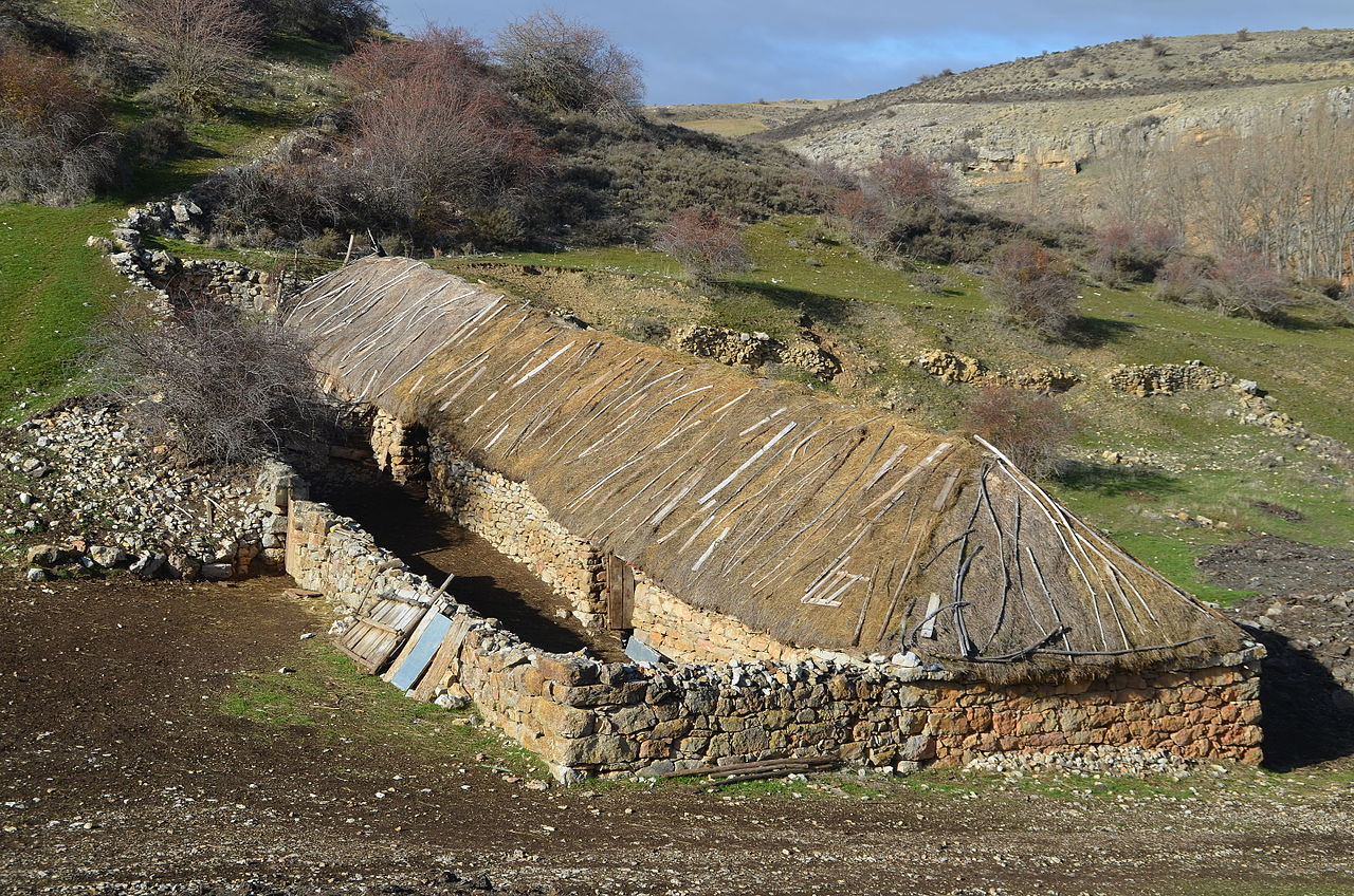 Casas-Refugios en la naturaleza (13)