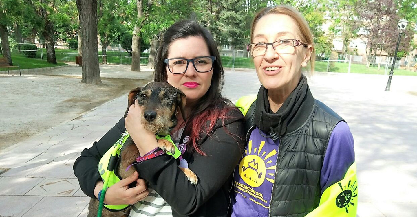 Unidas Podemos se compromete con el bienestar animal en la I Feria de adopción de Guadalajara