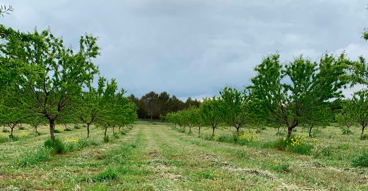 De cómo conseguir unir agricultura y cuidado del medio ambiente
