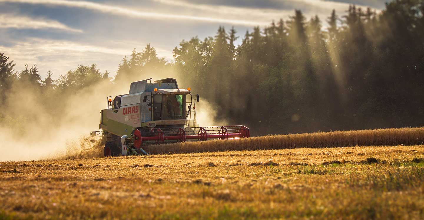 Los agricultores profesionales apenas representan un 19% del total de declarantes de ingresos agrarios