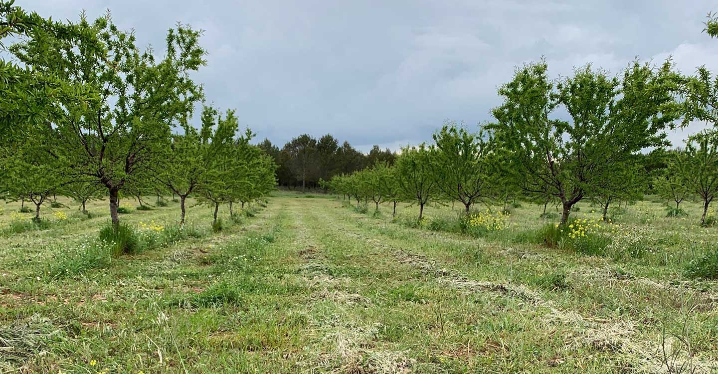 Agricultores que plantan biodiversidad  