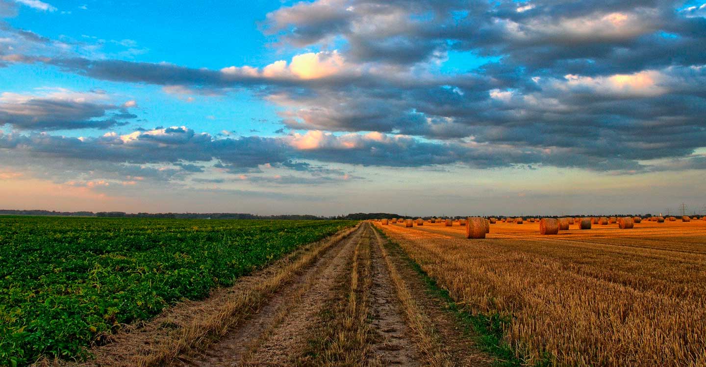  La agricultura, ganadería, pesca, industria alimentaria y sus actividades relacionadas son servicios esenciales