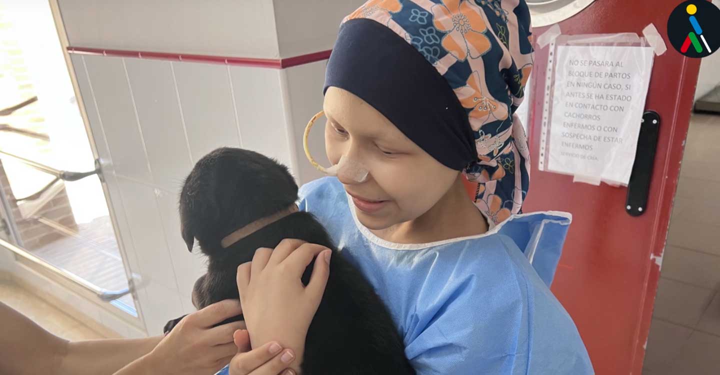 Los perros guía de la ONCE cumplen el deseo de Alba, una niña con cáncer 