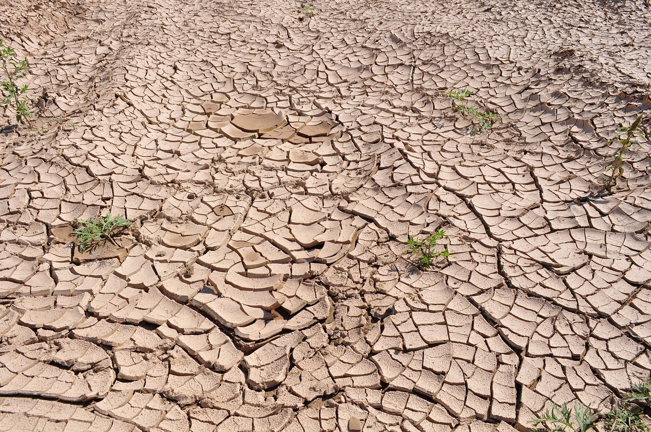 El Gobierno destina más de 72 millones de euros a 33.673 agricultores de Castilla-La Mancha para compensar las consecuencias de la sequía y la guerra de Ucrania