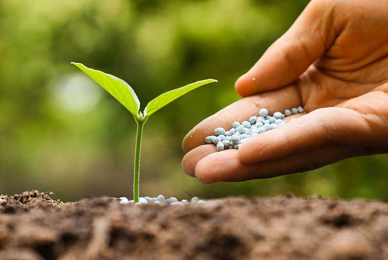 Más de 45.000 agricultores de Castilla-La Mancha han recibido ya un total de 59 millones de euros de las ayudas por el encarecimiento de los fertilizantes