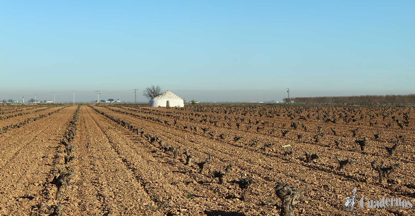 Los daños por fauna cinegética calientan al sector agrario