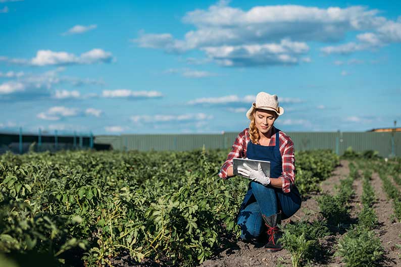 El Gobierno aprueba las bases reguladoras de las ayudas al intercambio de conocimiento y al asesoramiento para la transición digital del sector agroalimentario