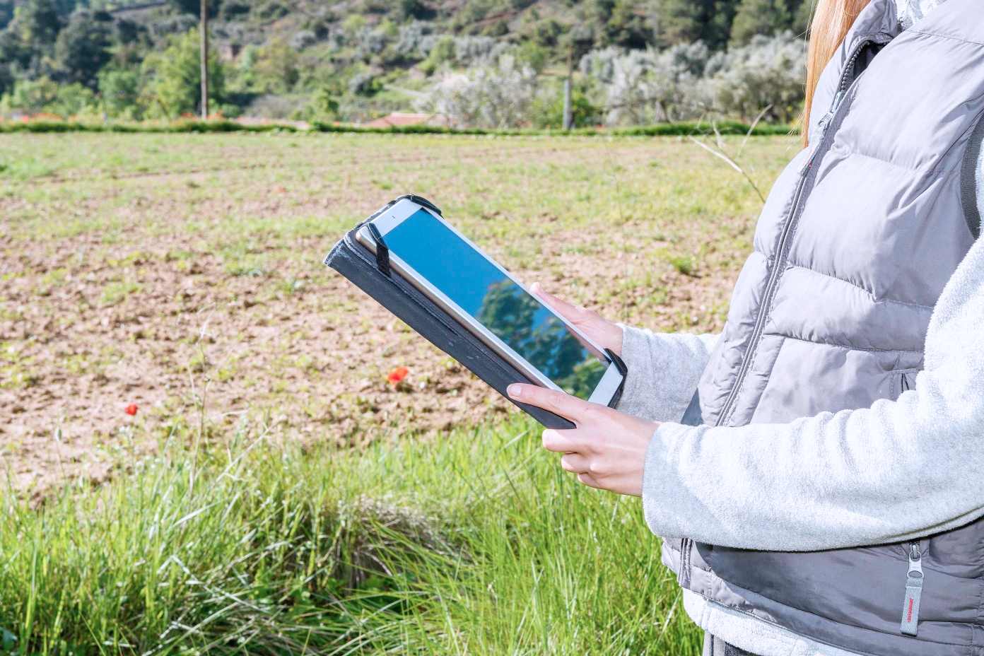 Global Nature diseñará junto al sector agrario medidas que hagan resilientes sus cultivos frente al cambio climático 