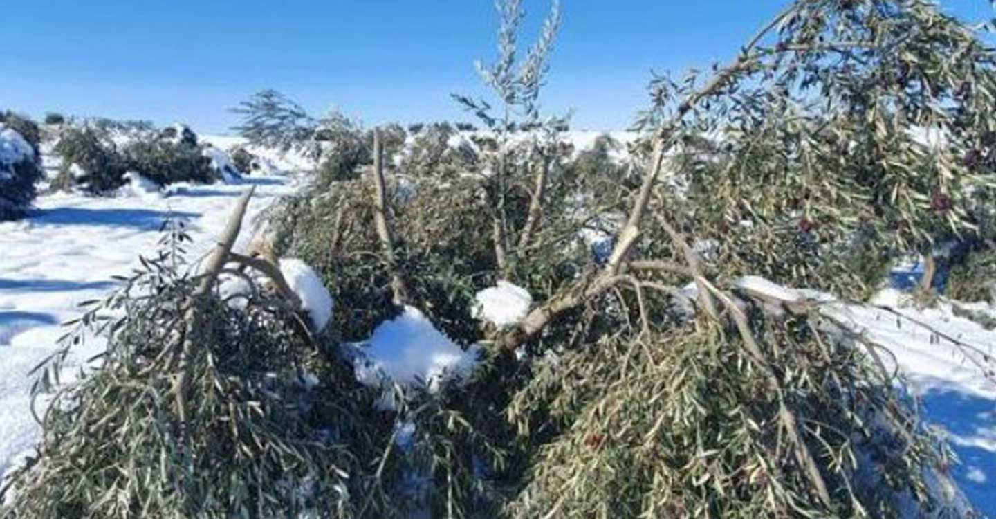 El Gobierno de España destina más de 5 millones de euros para paliar daños ocasionados por temporales en 64 municipios de Castilla-La Mancha