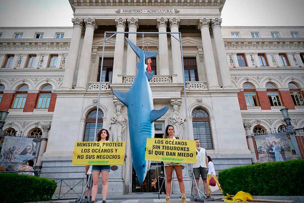 Greenpeace cuelga un tiburón de 5 metros en la puerta del Ministerio de Pesca para denunciar el doble juego de España en Naciones Unidas 