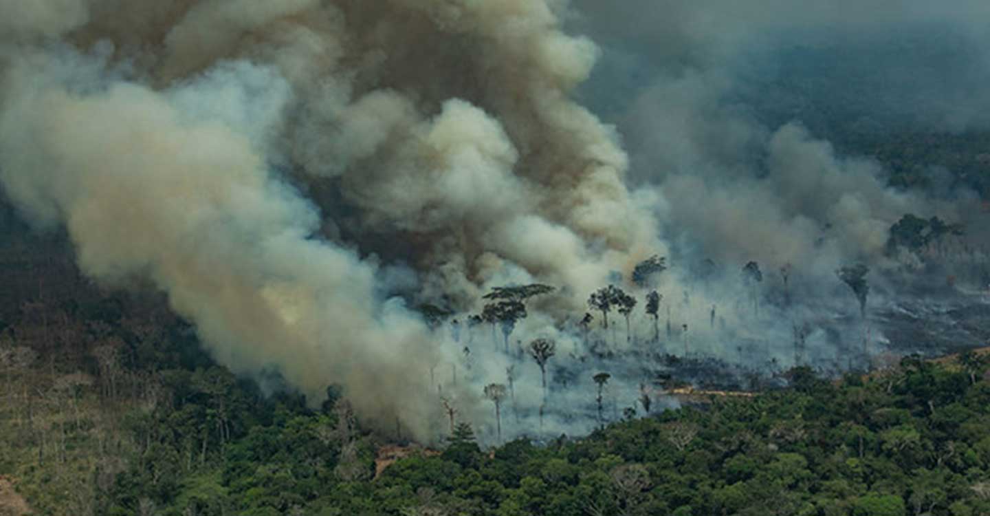 Greenpeace: 2019: El año en el que los grandes incendios forestales han evidenciado la emergencia climática