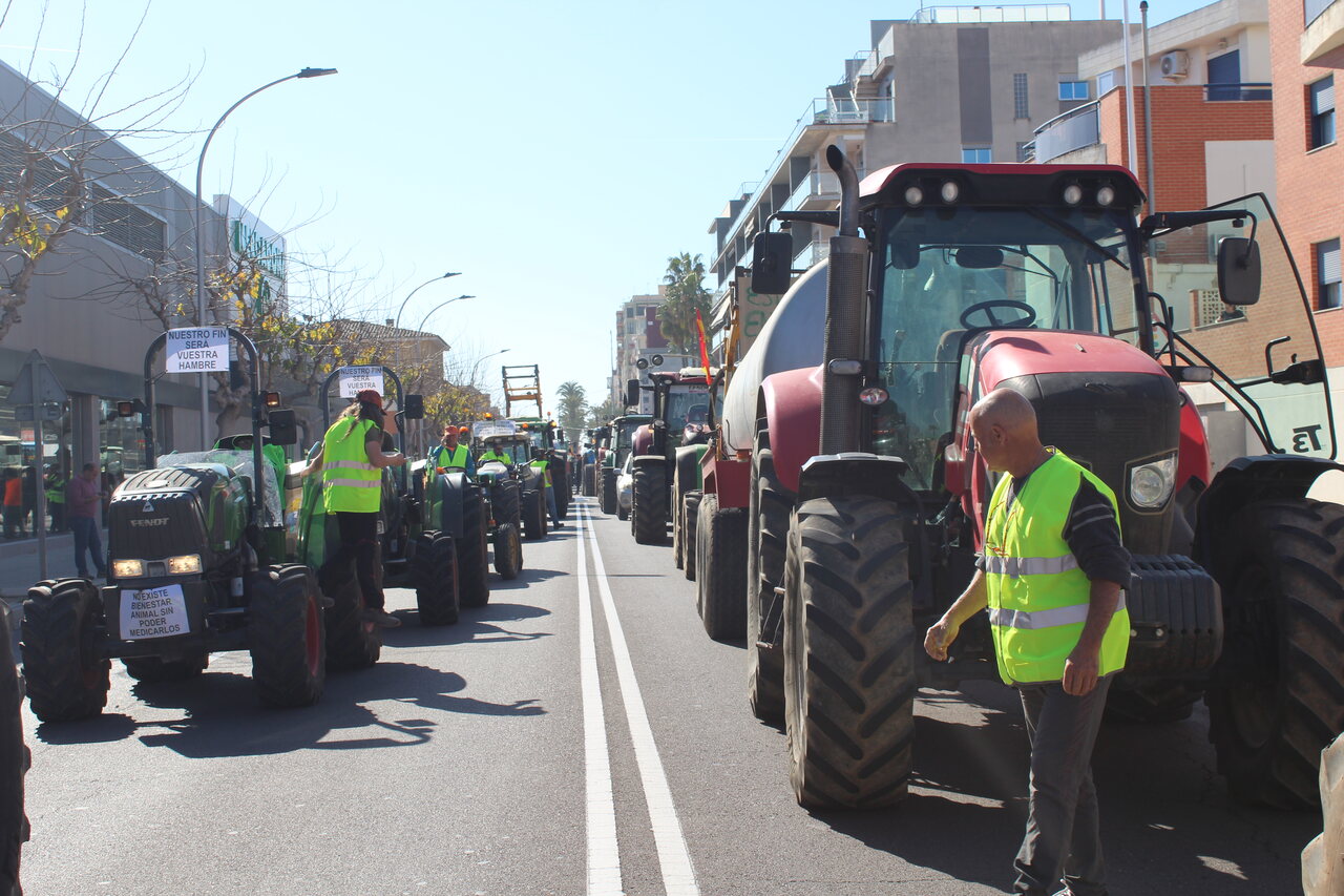 Unión de Uniones considera que ni Bruselas ni España dan respuesta a lo que necesitan los agricultores y ganaderos