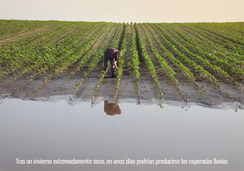 Por fin llegan las lluvias: una borrasca mediterránea podría provocar un cambio radical del tiempo