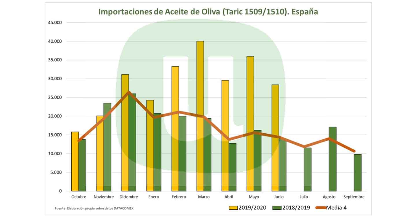 Unión de Uniones considera que la propuesta del MAPA de norma de comercialización para el aceite no solucionará la crisis y facilita la especulación