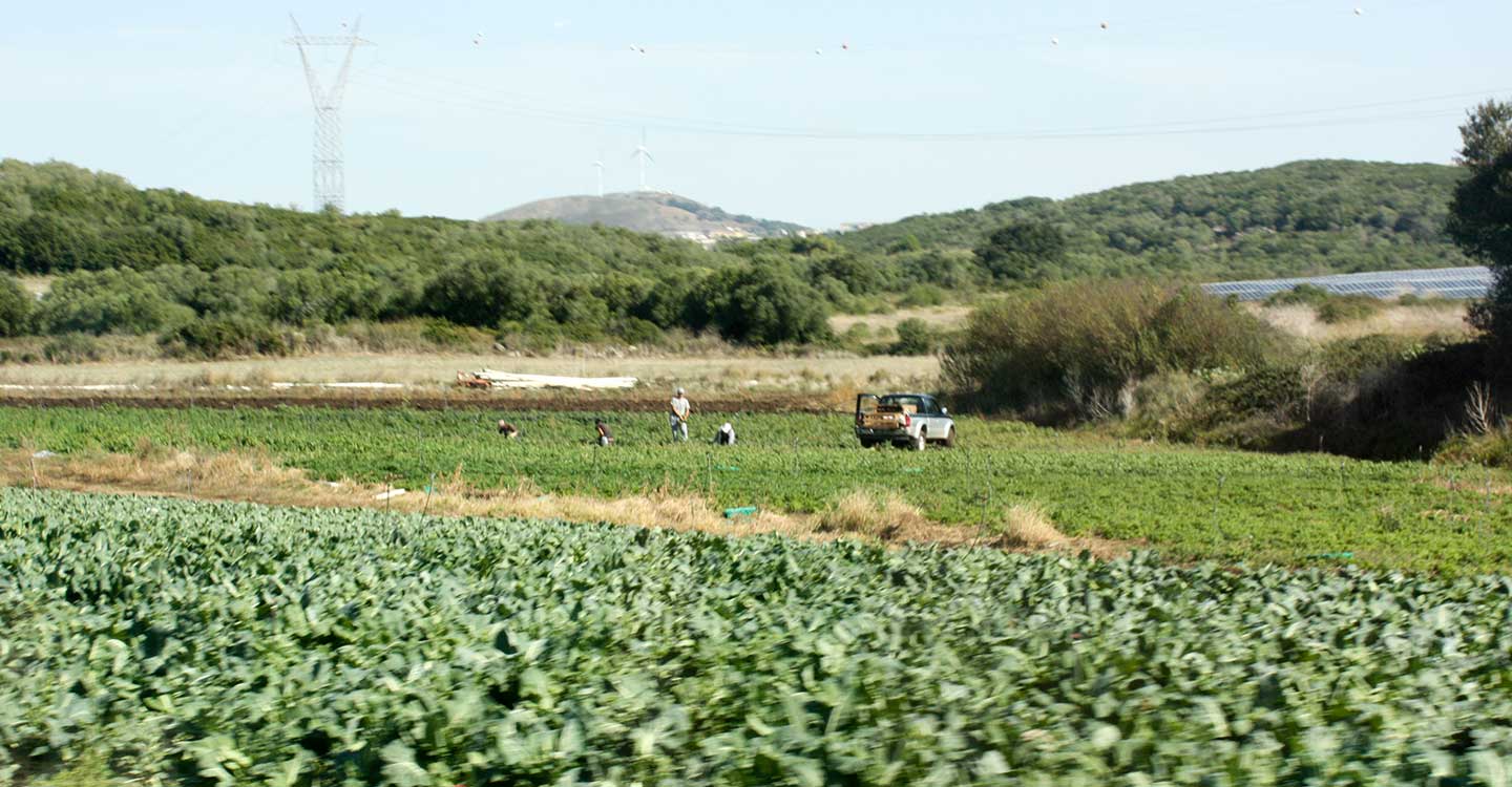 Unión de Uniones reclama incluir al sector agrario en el fondo de 11.000 millones de euros de ayudas a la solvencia empresarial