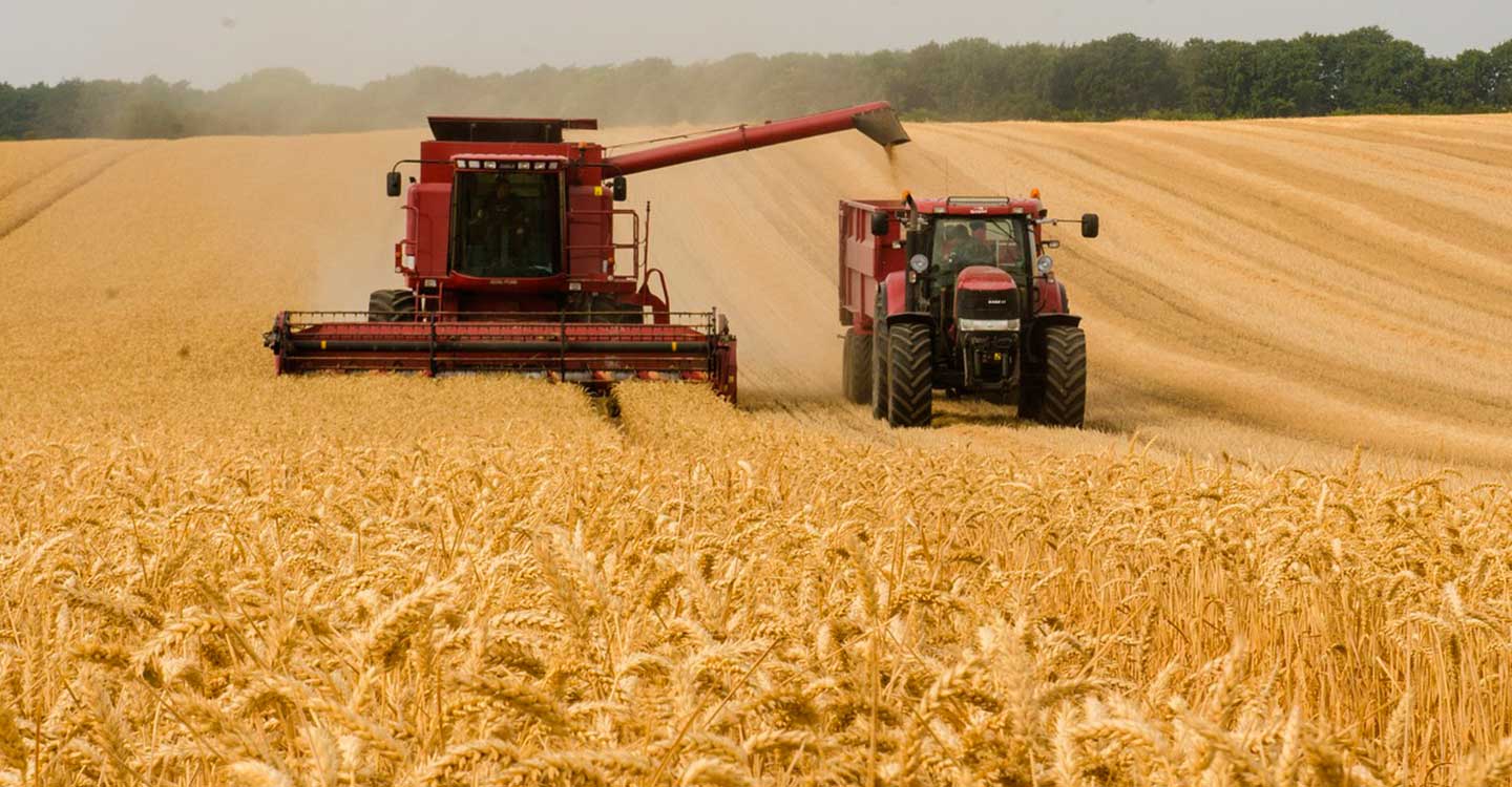Unión de Uniones señala que en el primer mes de aplicación de la reforma laboral las contrataciones han caído casi un 30% en el sector agrario