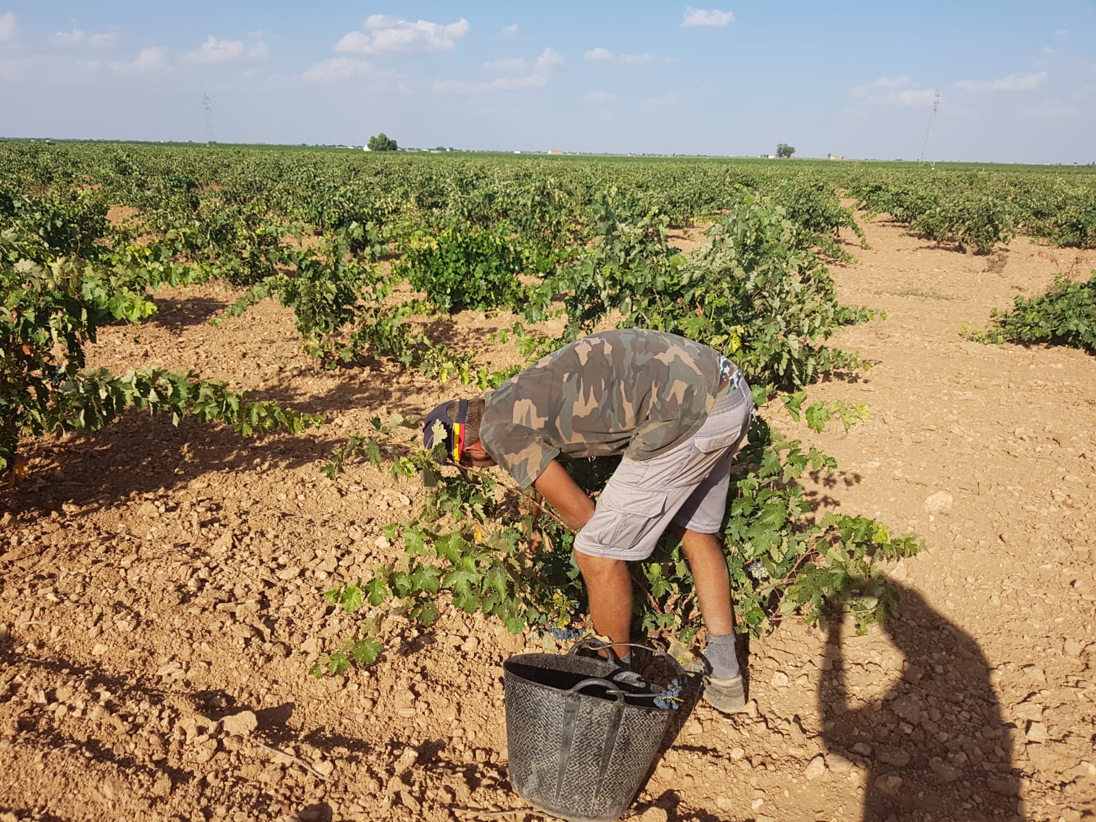 ASAJA CLM niega las acusaciones de los sindicatos de los trabajadores