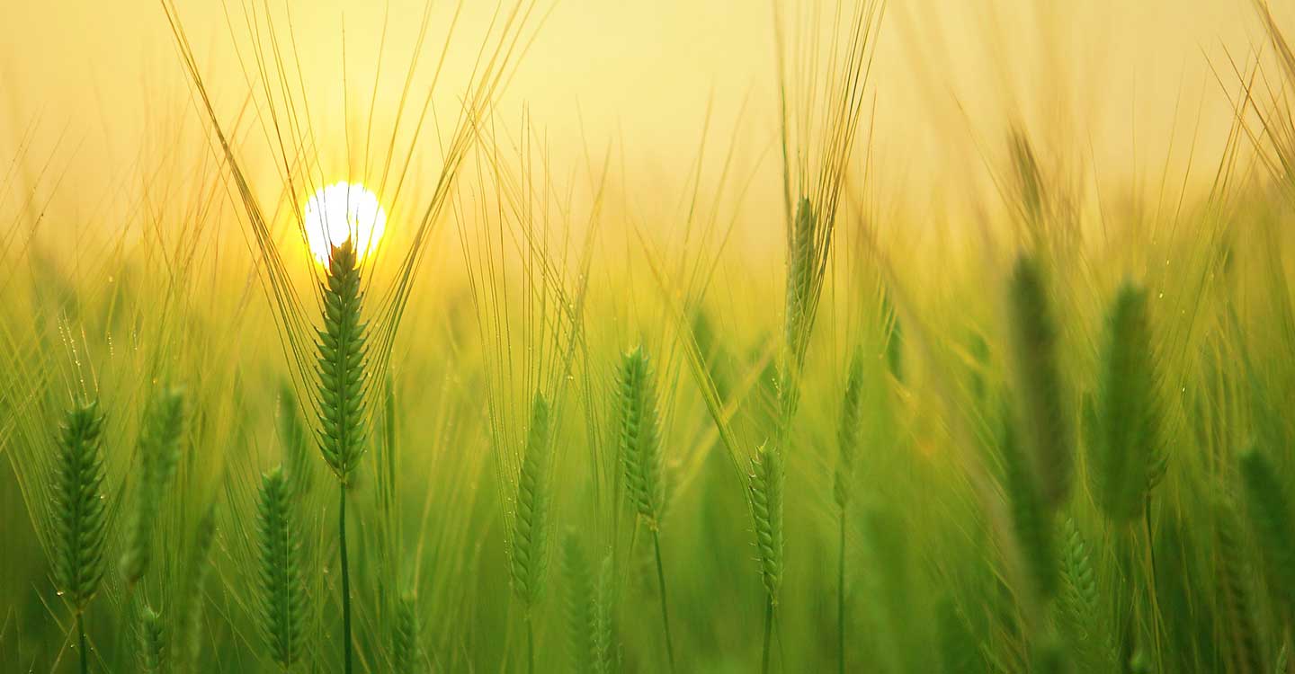 ASAJA CLM urge la convocatoria del Consejo Agrario de Castilla-La Mancha