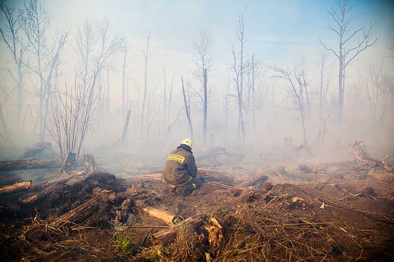 Cinco municipios de Castilla-La Mancha afectados por graves incendios forestales podrán solicitar las ayudas previstas en la Ley del Sistema Nacional de Protección Civil 