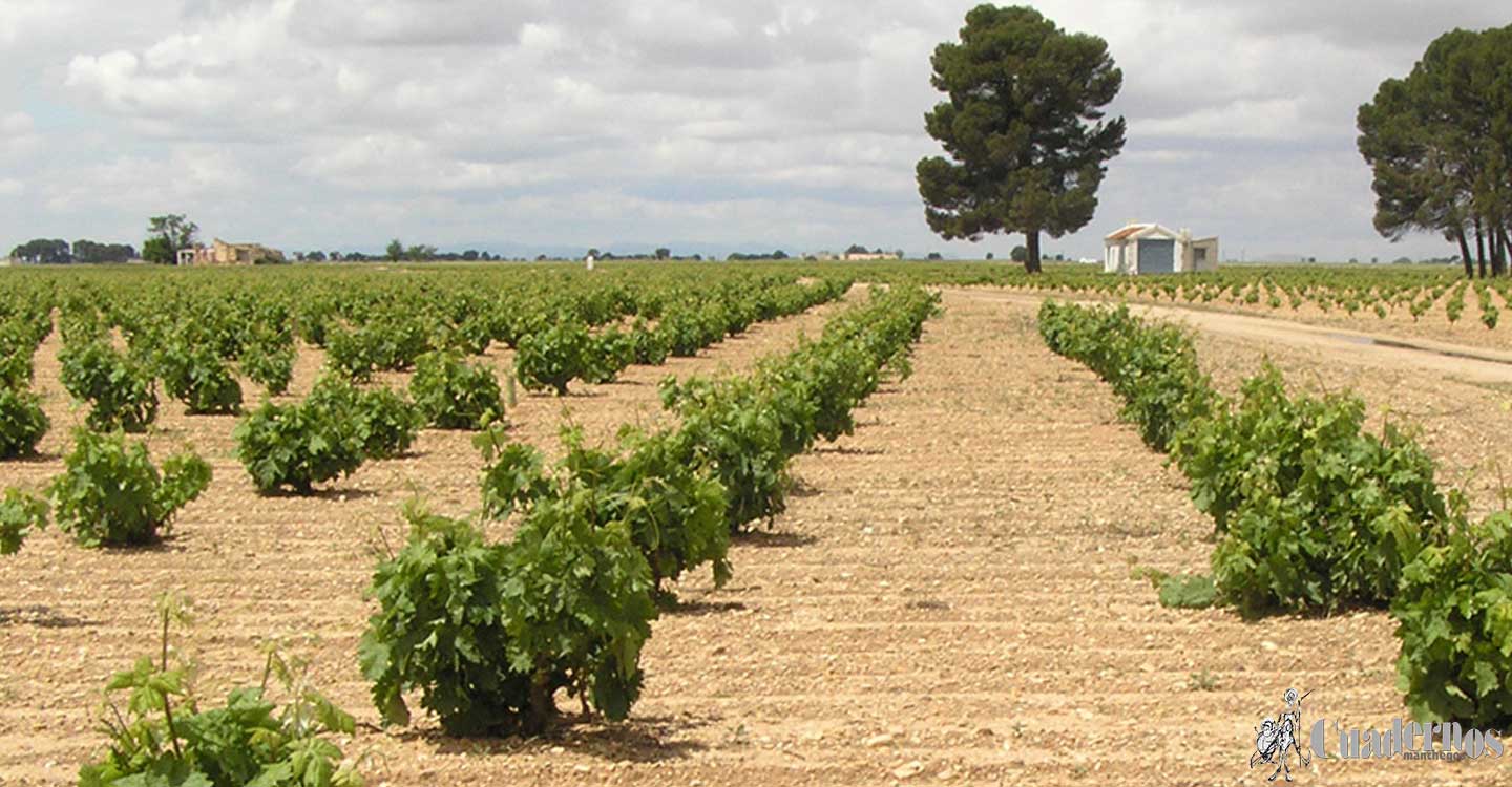 El Gobierno de Castilla-La Mancha resuelve la convocatoria extraordinaria de 5,5 millones de euros de ayuda al medio rural para hacer frente a las dificultades provocadas por la pandemia