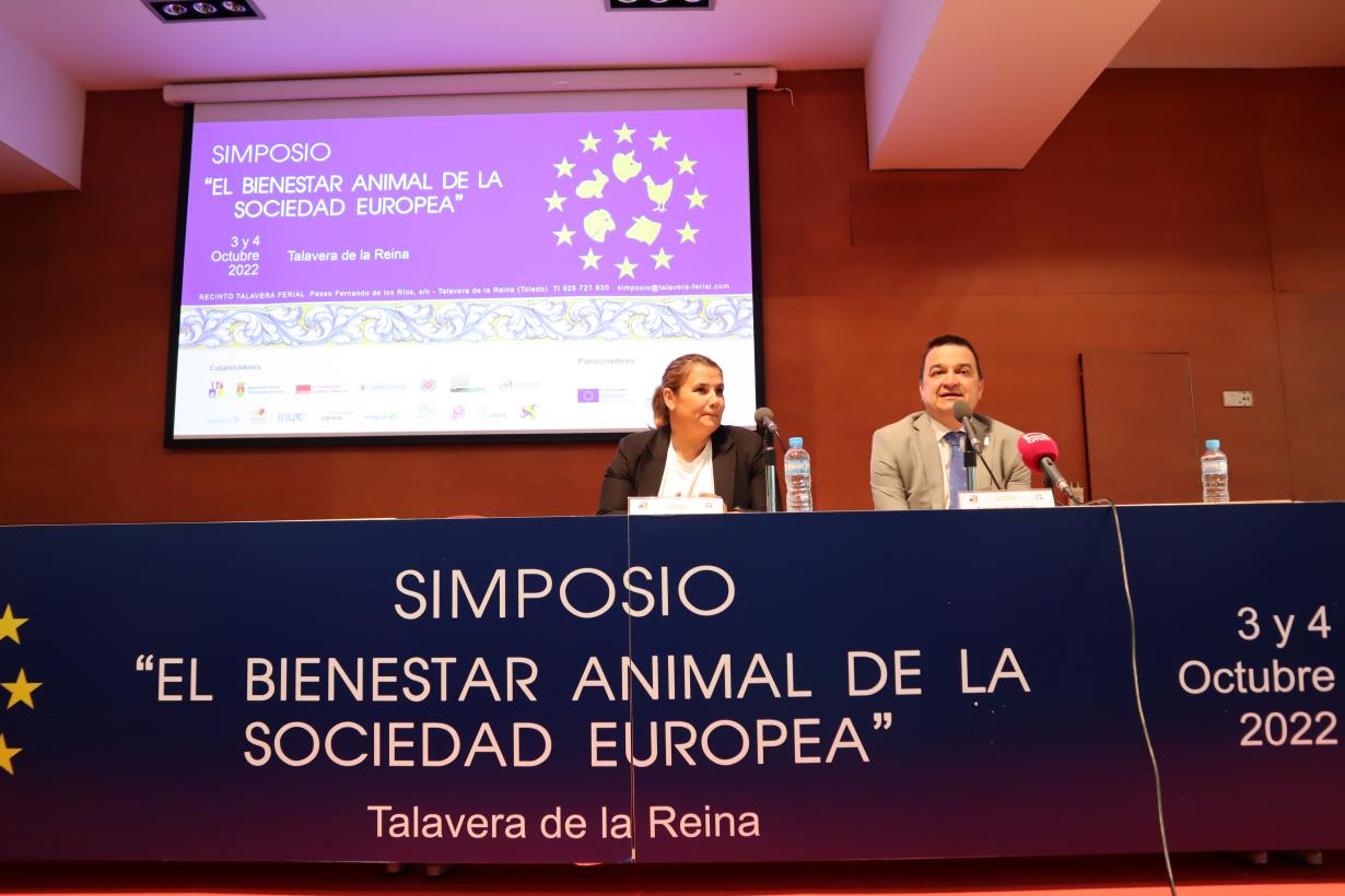 Castilla-La Mancha publicará una ayuda de 16 millones de euros para que el sector sustituya las gallinas en jaula por gallinas camperas o en suelo 