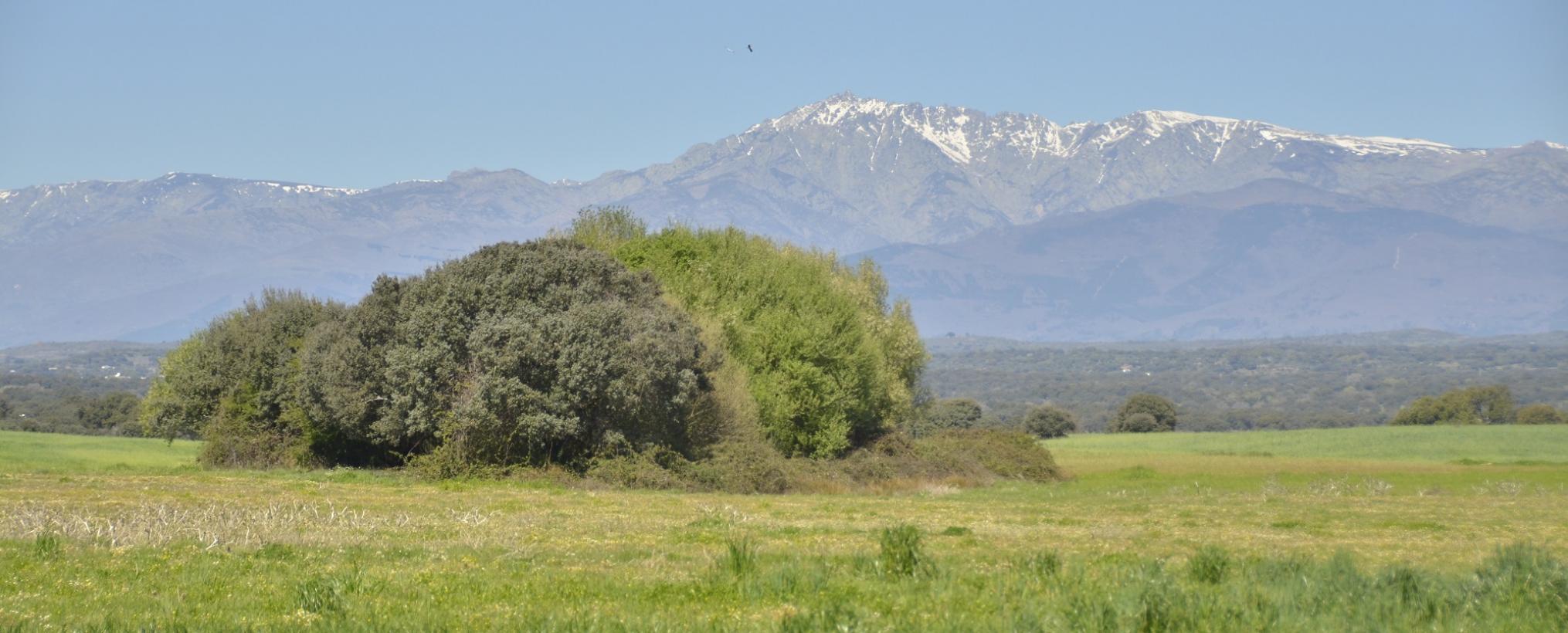 El Gobierno de Castilla-La Mancha conmemora el Día Internacional de los Bosques con numerosas actividades de educación ambiental en toda la región