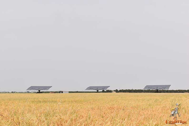 Castilla-La Mancha lidera la potencia instalada fotovoltaica en España con 5.614,2 MW, casi el 25 por ciento del total nacional