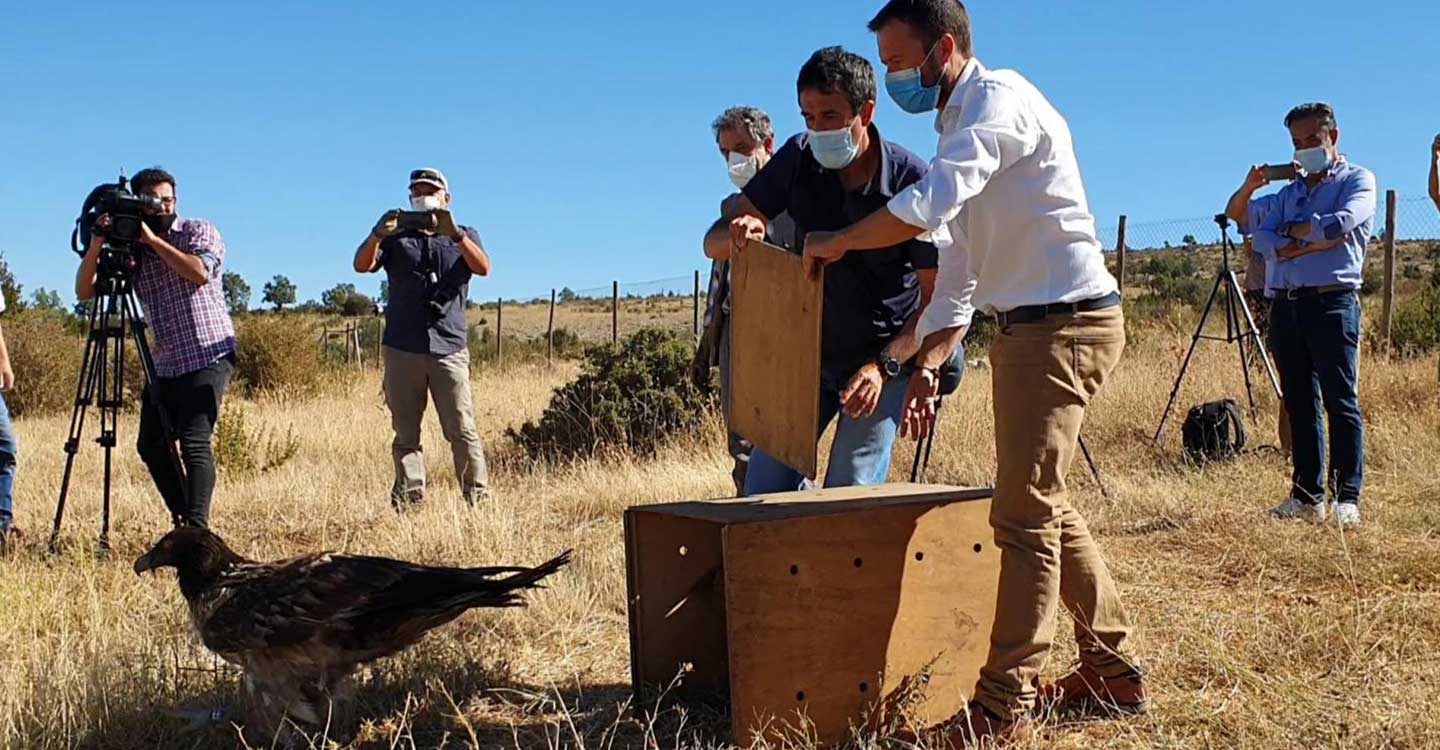 El Gobierno de Castilla-La Mancha aumentará un 43 por ciento las ayudas a las asociaciones de educación ambiental