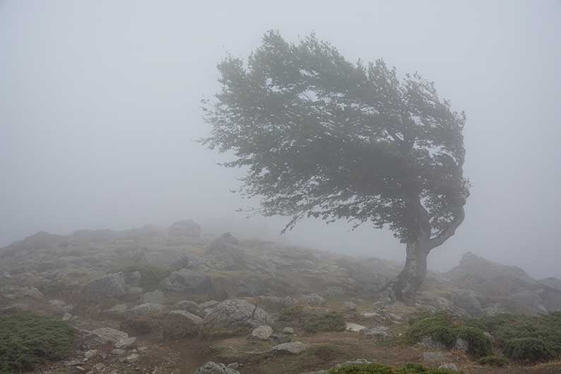 Protección Civil y Emergencias alerta por temporal marítimo, rachas de viento muy fuertes y precipitaciones de lluvia y nieve