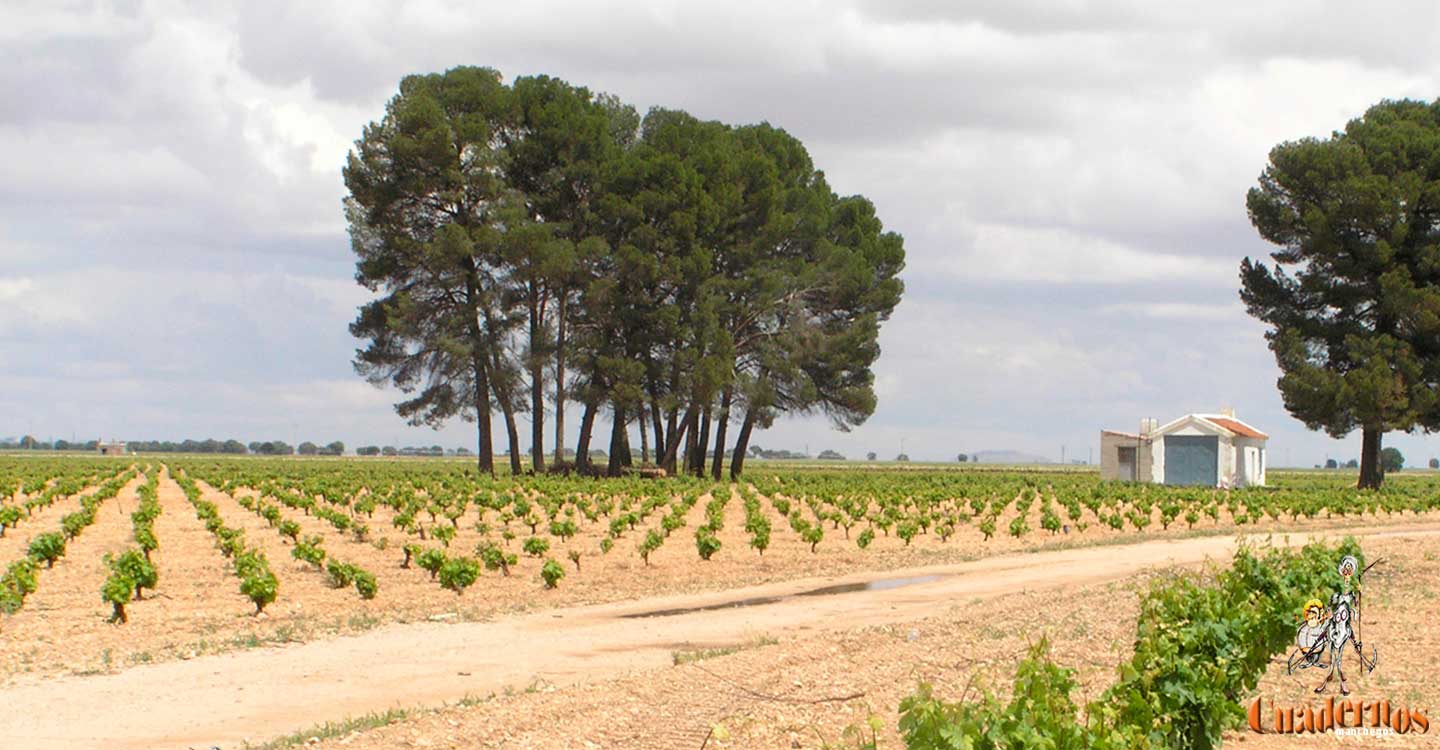 El Gobierno destina cerca de 18 millones de euros para el programa de desarrollo rural en Castilla-La Mancha