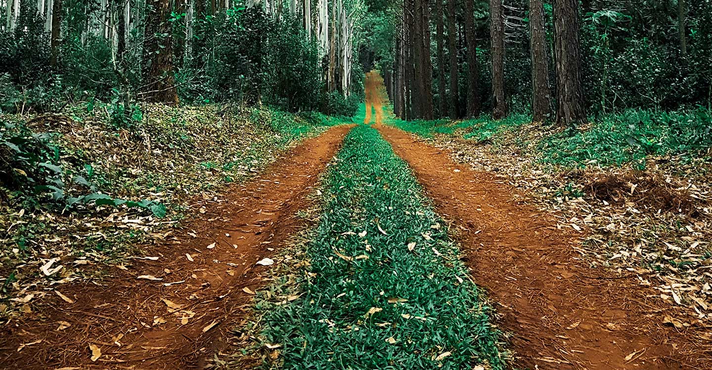 IU pide la recuperación de todas las vías pecuarias por su alto valor medioambiental, cultural y paisajístico 