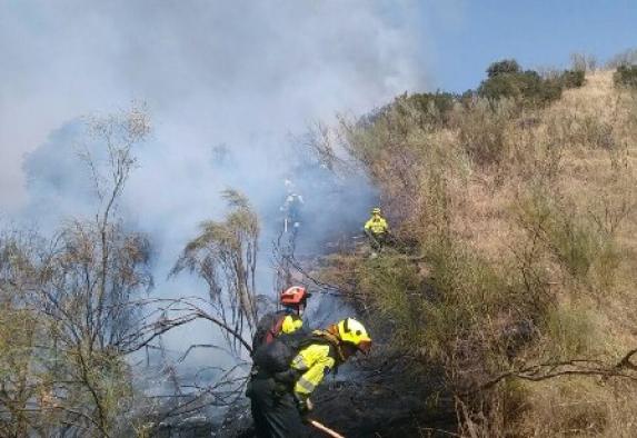 El Ejecutivo regional destina cerca de 50 millones de euros a las labores preventivas, el pilar fundamental en la lucha integral contra los incendios forestales