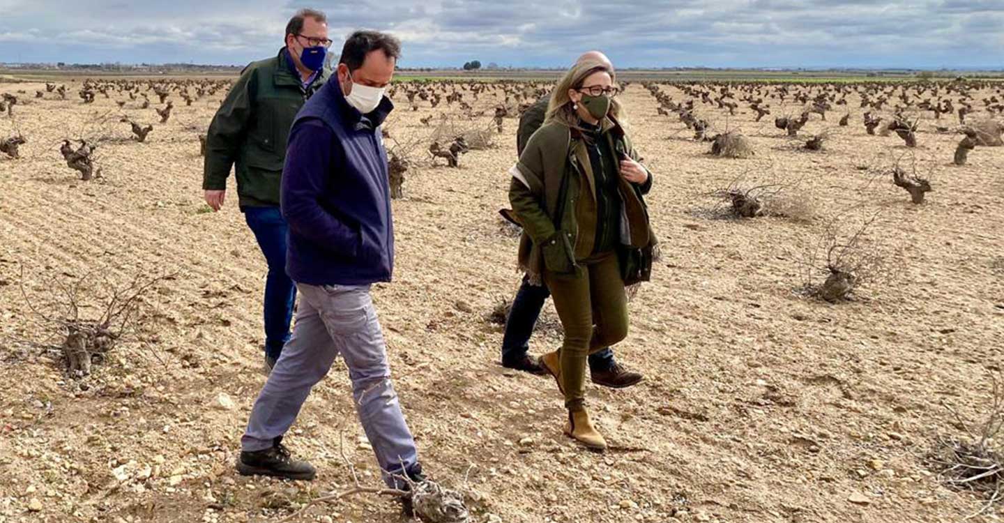 Merino sigue conociendo de la mano de agricultores y cazadores las medidas a la grave situación que atraviesa el campo por los daños provocados por la plaga de conejos 