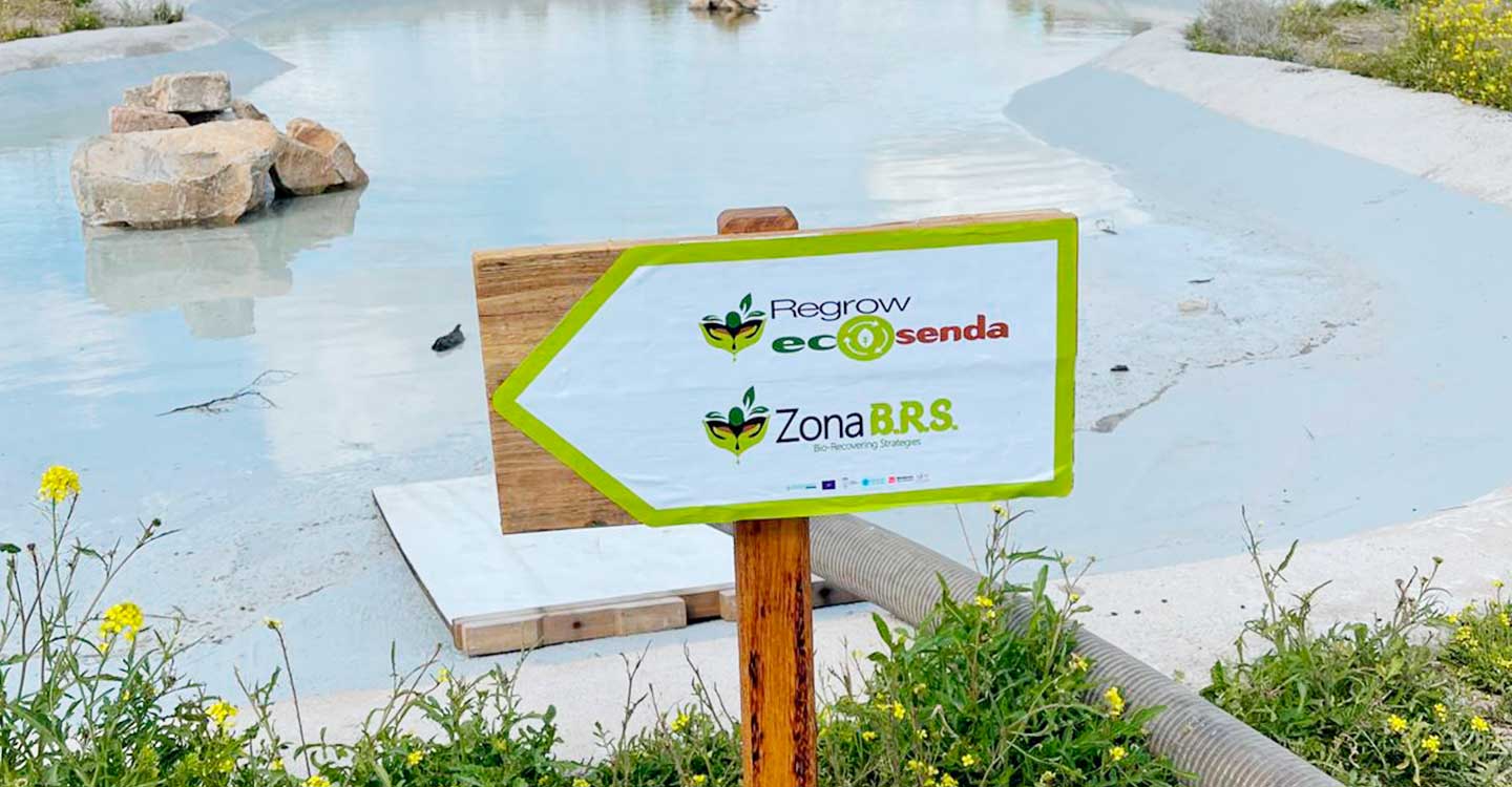 La Jornada NaturAceite expondrá las conclusiones del proyecto Life-Regrow que ha recuperado una zona contaminada por balsas de alpechín