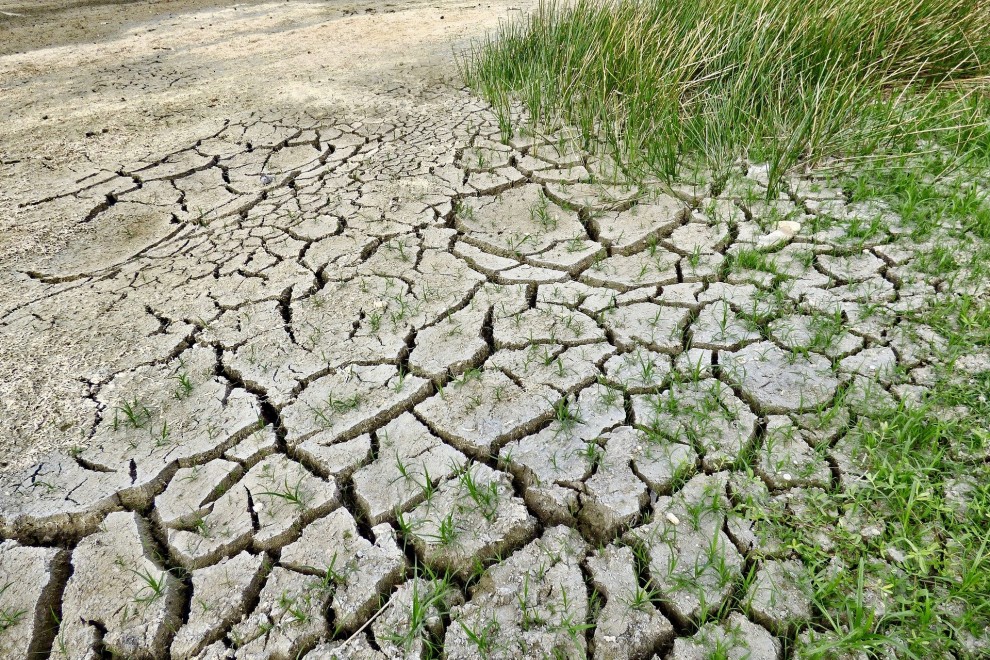 El Gobierno de Castilla-La Mancha iniciará los trabajos previos de la nueva Ley de Cambio Climático de la región