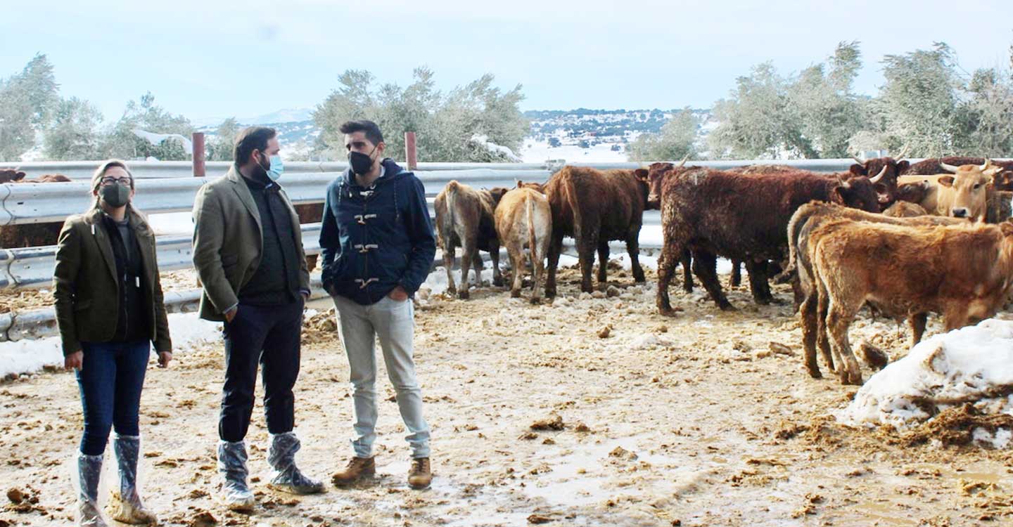 Núñez muestra su apoyo a los ganaderos de Castilla-La Mancha tras los problemas que les ha causado el temporal de nieve