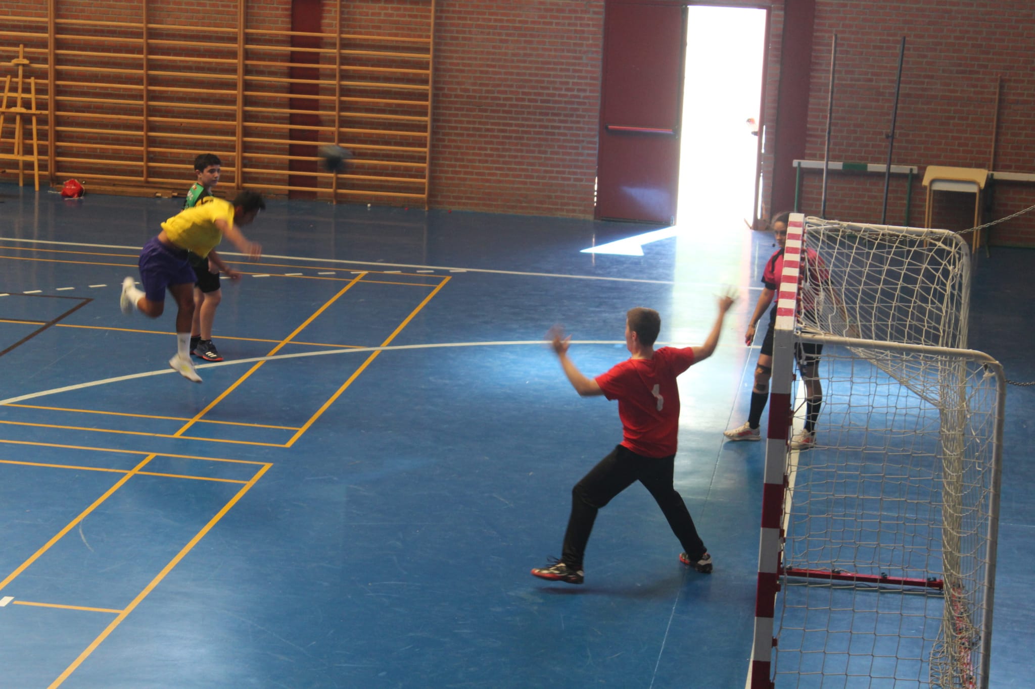 Toeldo Hand Ball