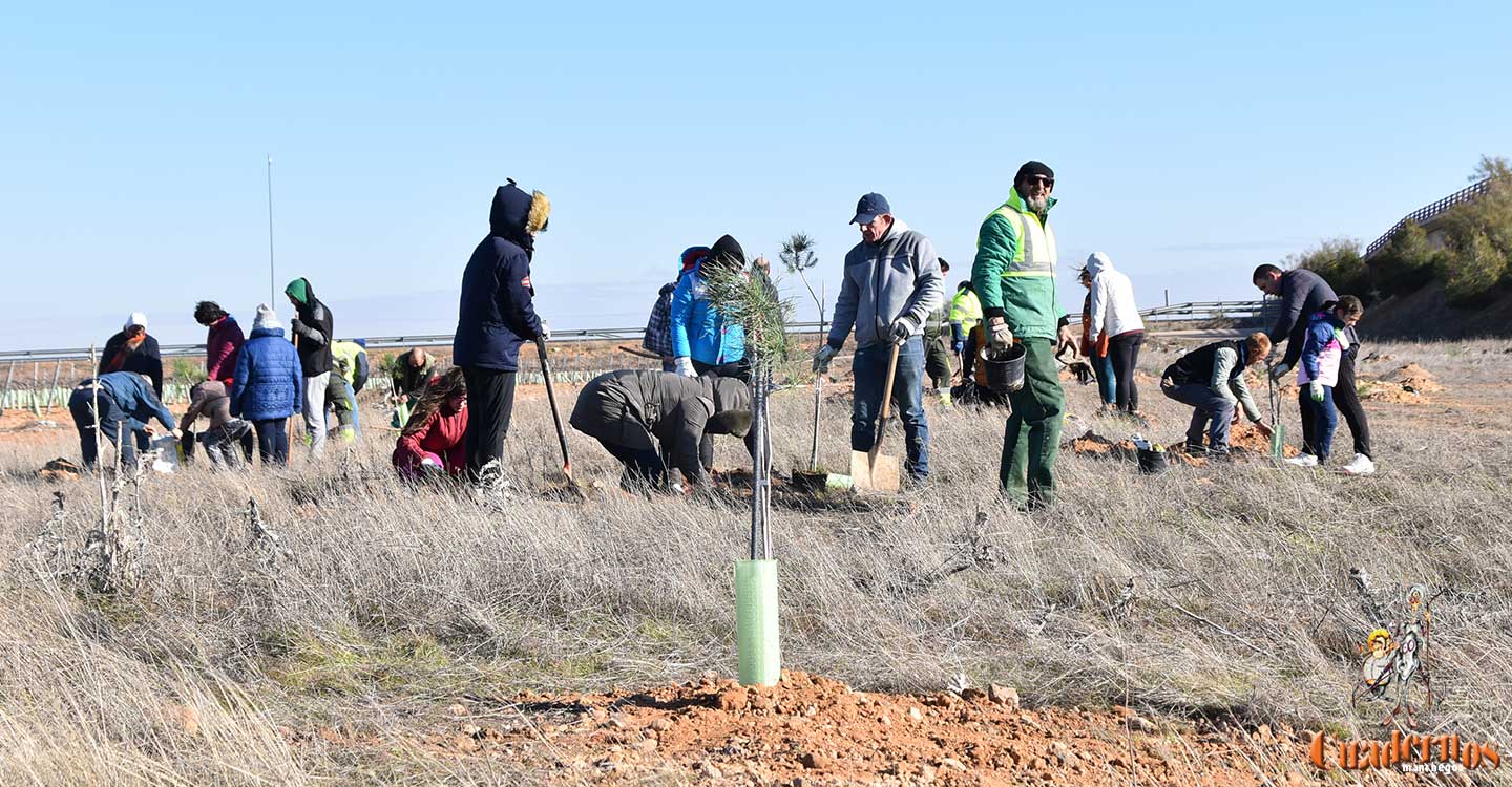 Grandes y pequeños participan en la II Jornada de Reforestación en la Vereda de Socuéllamos