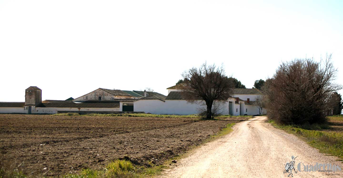 Un agricultor tomellosero con mala suerte