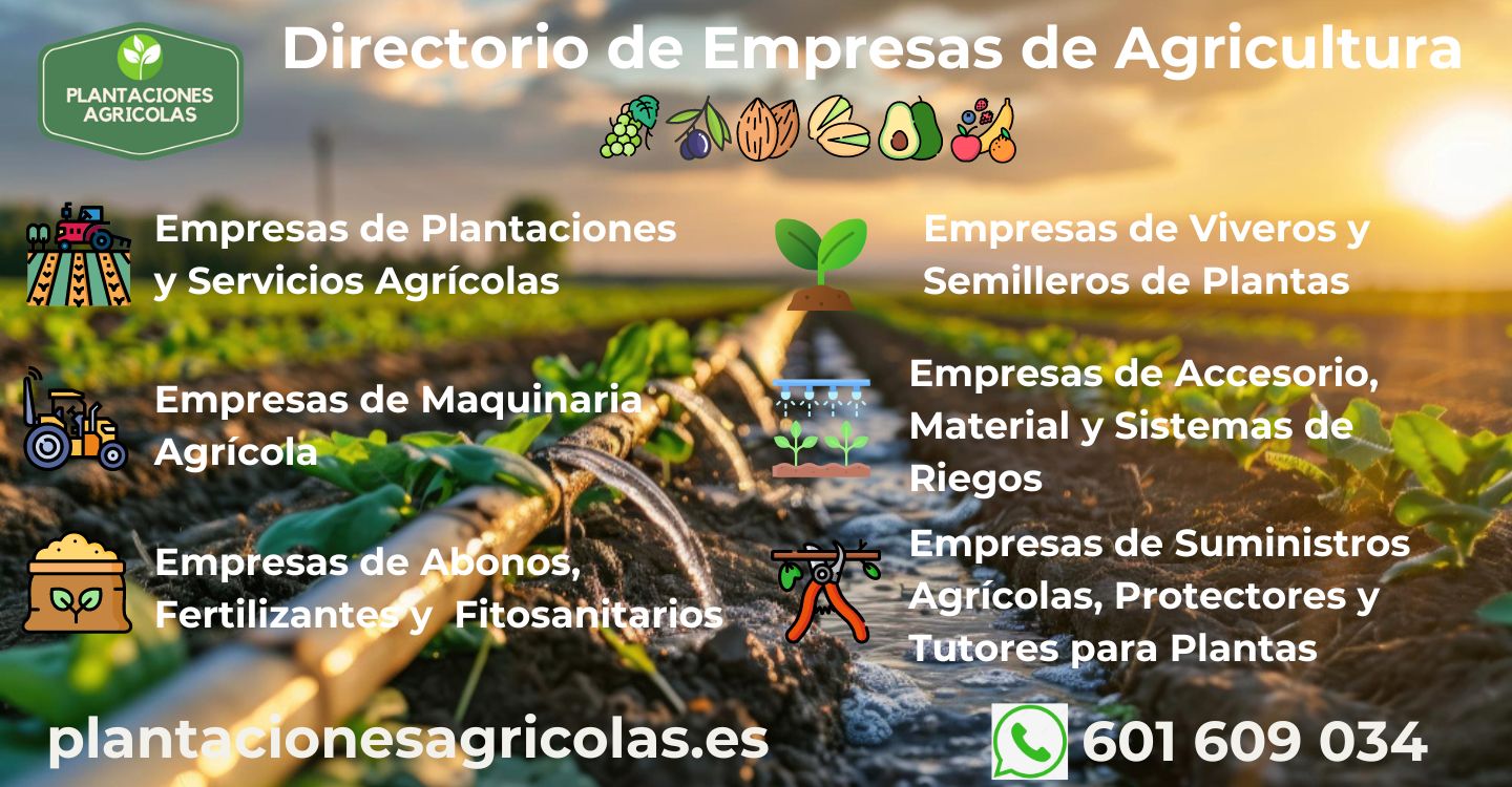 Arranca "Plantaciones Agrícolas", un directorio web de empresas de agricultura de plantación único en España