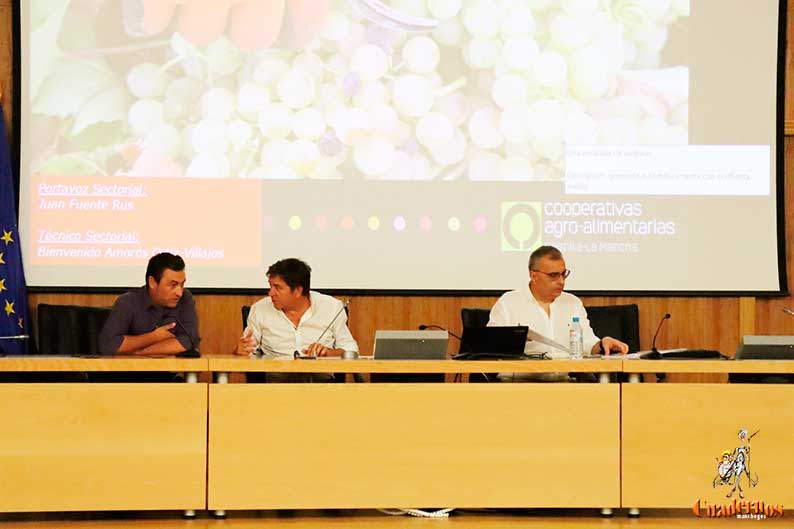 Asamblea Sectorial del Vino Agroalimentarias