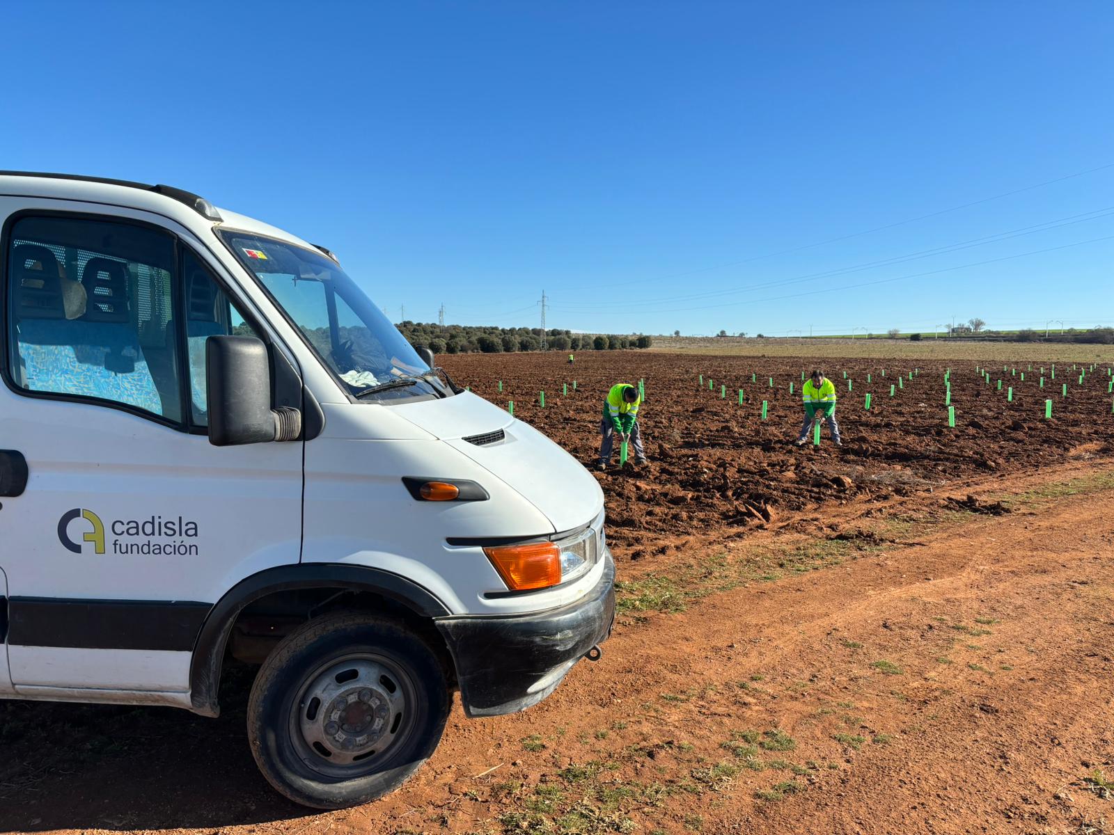 Cadisla finaliza en “La Revuelta” una revegetación de encinar para la filial renovable de Endesa, Enel Green Power