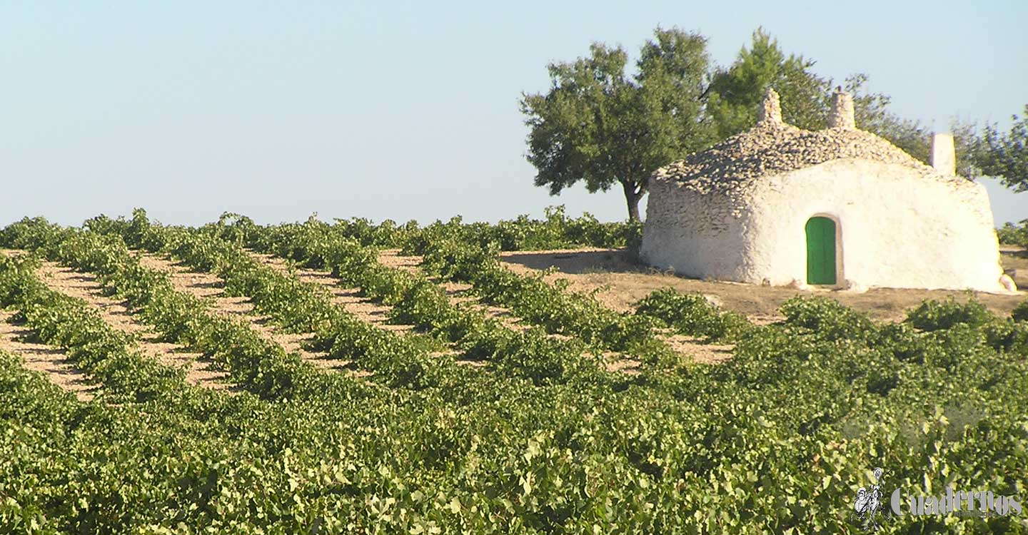 El campo es un lamento de fiebre reprimida